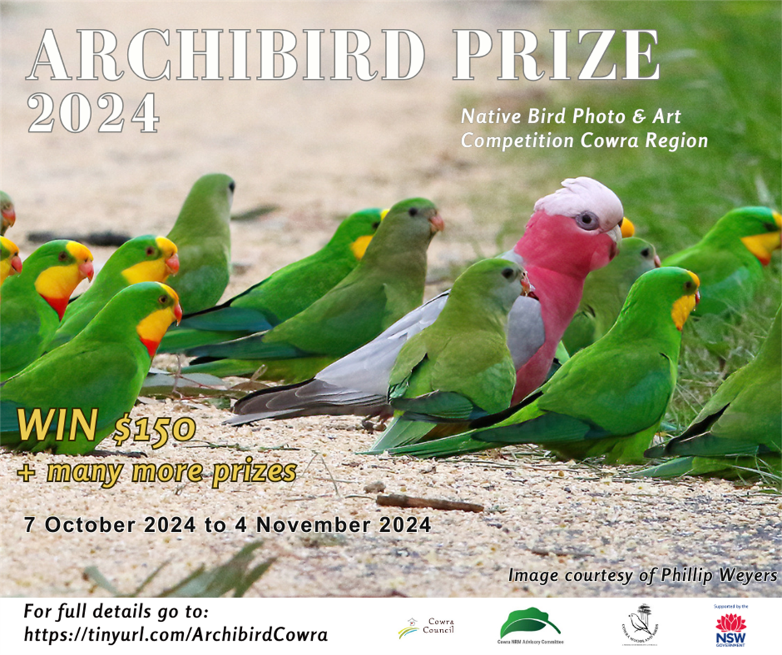 Copy of Copy of Archibird 2024 Ad 1 (1).png